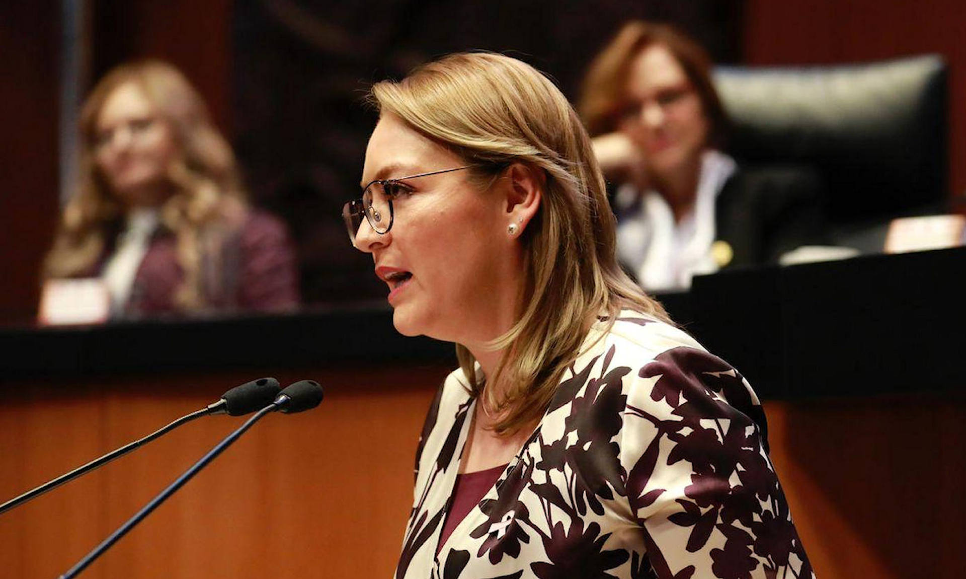 Senadora Verónica Diaz